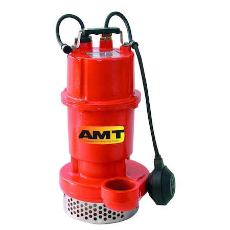 Amt Pump 2-in. Stainless Steel Submersible Pump w/ 1/2 HP 1PH 115V Motor 5780-98
